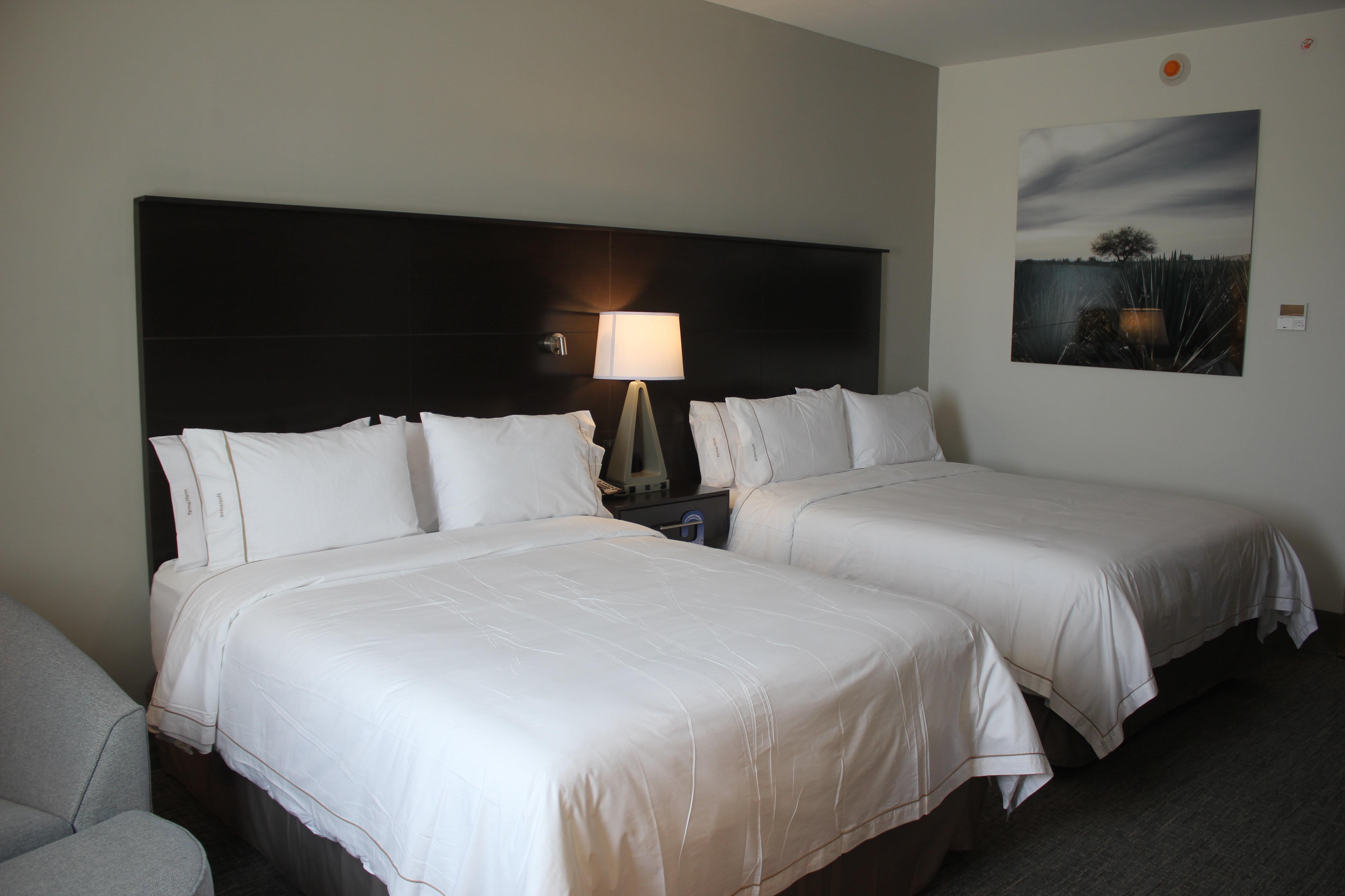 Holiday Inn Express & Suites Silao Aeropuerto Terminal By Ihg Zewnętrze zdjęcie